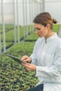Greenhouse Seedlings Growth. Female Agricultural Engineer Royalty Free Stock Photo
