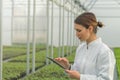 Greenhouse Seedlings Growth. Female Agricultural Engineer Royalty Free Stock Photo