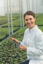 Greenhouse Seedlings Growth. Female Agricultural Engineer