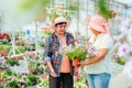In greenhouse with seedlings of indoor plants, two aged women talking sweetly, Royalty Free Stock Photo