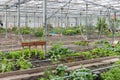 Greenhouse with several small vegetable gardens