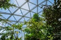 Greenhouse in Shinjuku Gyoen National Garden