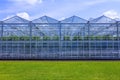 In the greenhouse. Greenhouse, sky and grass Royalty Free Stock Photo