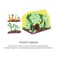 Greenhouse in space colony. Royalty Free Stock Photo