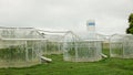 Station greenhouse science research open top chambers climate change, corn maize Zea mays ear, scientific on genetics