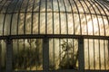 Greenhouse. National Botanic Gardens. Dublin. Ireland Royalty Free Stock Photo