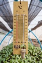 GREENHOUSE TERMOMETER