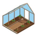 Greenhouse with tomato in 3D design. Tomato Plant growth. Planting process. Hothouse inside view