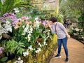 Greenhouse with tropical plants with flowers. Royalty Free Stock Photo