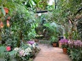 Greenhouse with tropical plants with flowers. Royalty Free Stock Photo