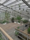 Greenhouse with various plant inside