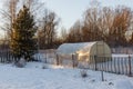 Greenhouse in the vegetable garden in winter.