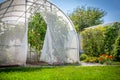 Greenhouse with vegetables in private garden in back yard Royalty Free Stock Photo