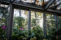 Greenhouse winter garden in autumn-winter time for plants grown, floral orangery. Royalty Free Stock Photo