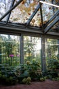 Greenhouse winter garden in autumn-winter time for plants grown, floral orangery. Royalty Free Stock Photo