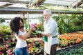 Greenhouse worker giving plants to a customer Royalty Free Stock Photo