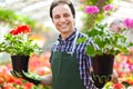 Greenhouse worker holding flower pots