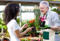 Greenhouse worker talking to a customer Royalty Free Stock Photo