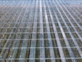 Greenhouses aerial view, drone view on industrial modern glasshouse. Green plantations shot through the transparent glass ceiling