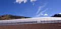 Greenhouses for agriculture Royalty Free Stock Photo