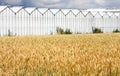 Greenhouses and cropland in Holland