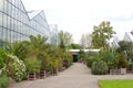 Greenhouses and exotic plants Botanical Gardens, Netherlands