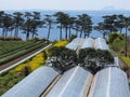 Greenhouses by the sea in Kyushu