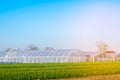 Greenhouses in the field for seedlings of crops, fruits, vegetables, lending to farmers, farmlands, agriculture, rural areas, agro Royalty Free Stock Photo