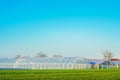 Greenhouses in the field for seedlings of crops, fruits, vegetables, lending to farmers, farmlands, agriculture, rural areas, agro Royalty Free Stock Photo