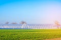 Greenhouses in the field for seedlings of crops, fruits, vegetables, lending to farmers, farmlands, agriculture, rural areas, agro Royalty Free Stock Photo