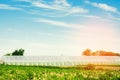 Greenhouses in the field for seedlings of crops, fruits, vegetables, lending to farmers, farmlands, agriculture, rural areas, agro Royalty Free Stock Photo