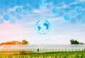 greenhouses in the field for seedlings of crops, fruits, vegetables, lending to farmers, farmlands, agriculture, rural areas, agro Royalty Free Stock Photo