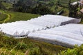 Greenhouses for flowers Royalty Free Stock Photo