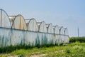 Greenhouses for growing vegetables