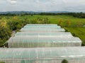 Greenhouses lined up in small farm for vegetables and fruits ,aerial view