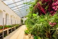 Palace Evxinograd greenhouses. Varna, Bulgaria Royalty Free Stock Photo