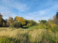 Greenish grass land