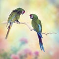 Greenl Macaw Parrots Perching On A Branch