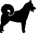 Greenland Dog silhouette black