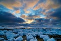 Greenland icecubes