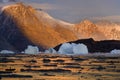 Greenland - Northwest Fjord in Scoresbysund Royalty Free Stock Photo