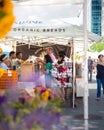 Greenmarket Farmers Market Union Square NYC