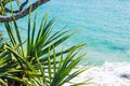 Coolangatta beach on a clear day looking towards Kirra Beach on the Gold Coast Royalty Free Stock Photo