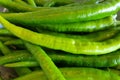 Greens. Organic long green pepper is a selective focus, horizontal Royalty Free Stock Photo