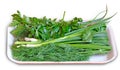 Greens - parsley, onion, fennel - in the retail tray Royalty Free Stock Photo