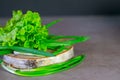 Greens for salad, dill, fresh onions and lettuce on a gray background.