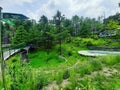 Greens zoo Shimla Kufri Greenway