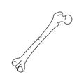 Greenstick bone fracture line icon. Royalty Free Stock Photo