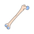 Greenstick bone fracture line icon. Royalty Free Stock Photo