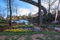 Greenville South Carolina Falls Park on the Reedy River Royalty Free Stock Photo